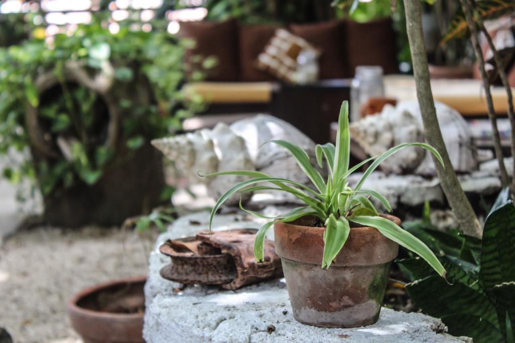 Secret Garden Tulum Hotel エクステリア 写真