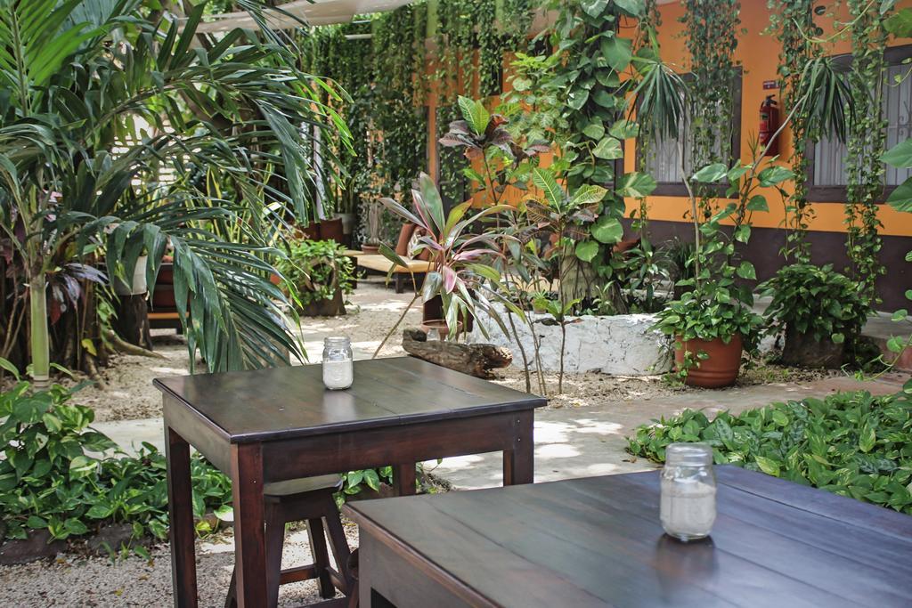 Secret Garden Tulum Hotel エクステリア 写真