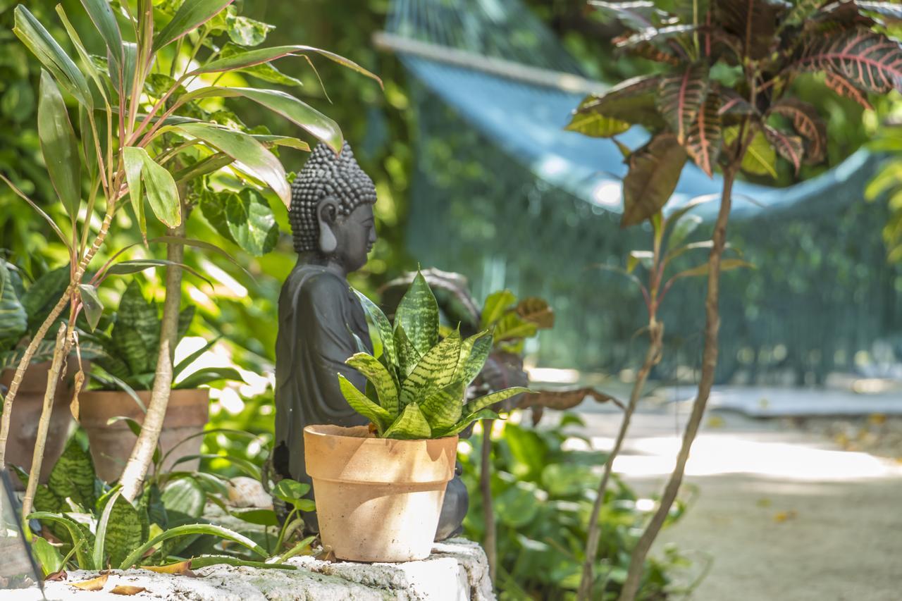 Secret Garden Tulum Hotel エクステリア 写真